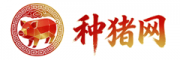 千农种猪网